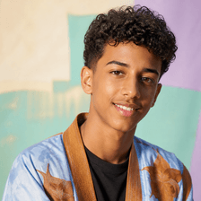 محمد ولد اعلي
